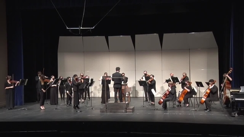 Thumbnail for Chamber Orchestra - A Night of English Music