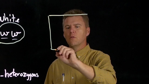 Thumbnail for LightBoard (Sample)