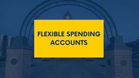 Thumbnail for Flexible Spending Accounts