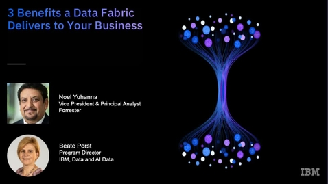 Thumbnail for 3 benefits a data fabric delivers to your business