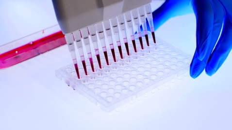 Thumbnail for Trustworthy AI brightens the forecast for genomics
