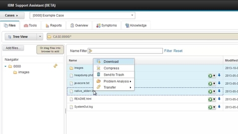 Thumbnail for IBM Support Assistant 5.0 Team Server: Using File Actions