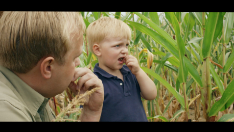 Thumbnail for The New Agronomists: AI and Digital Farming with Yara