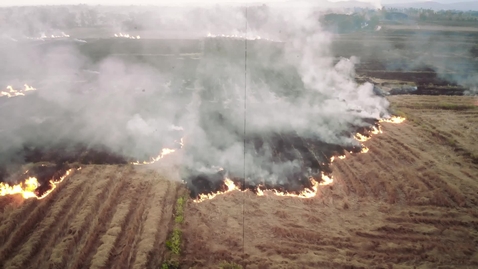 Thumbnail for entry Transforming sustainable agriculture: The Nature Conservancy Centre and IBM unite to reduce crop residue burning in North India