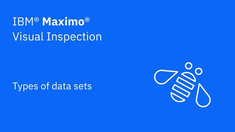 Thumbnail for entry Types of data sets in IBM Maximo Visual Inspection