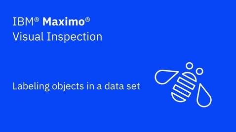 Thumbnail for entry Labeling objects in data sets in IBM Maximo Visual Inspection