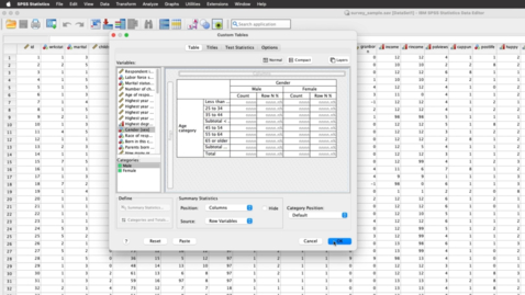 Thumbnail for entry IBM SPSS Custom Tables Explained in Two Minutes