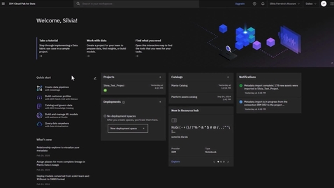 Thumbnail for IAM - Authentication And Lineage Administrator Role - CP4D