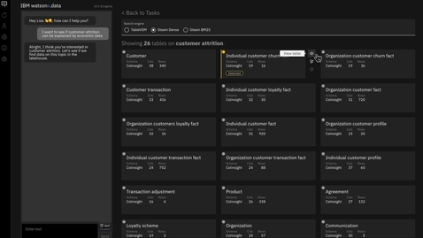 Thumbnail for watsonx.data demo: Insights by generative AI