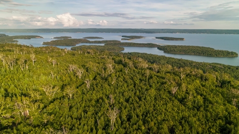 Thumbnail for How Indigenous perspectives can guide climate innovation for a just transition: IBM teams up with Net Zero Atlantic in Canada