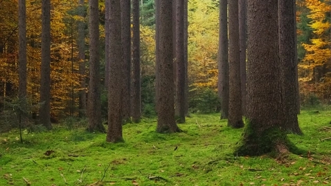 Thumbnail for Base vs Advanced Software Support