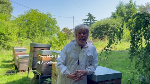 Thumbnail for Let’s CO : Renforcer la confiance du consommateur grâce à une solution digitale, fiable et transparente