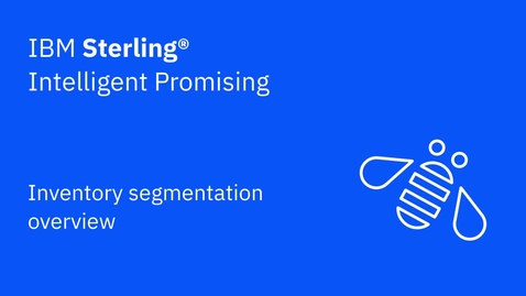 Thumbnail for Inventory segmentation overview