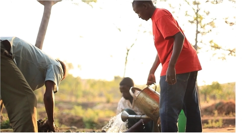 Thumbnail for entry Accelerating sustainable agriculture with the IBM Sustainability Accelerator