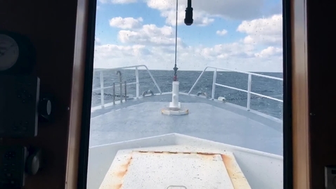 Thumbnail for Food Trust + Raw Seafoods - A matter of Trust