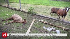 Unternehmen Thomas Muller Ag