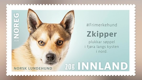 Thumbnail for #Frimerkehund: Zkipper