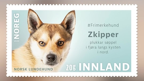 Thumbnail for entry #Frimerkehund: Zkipper