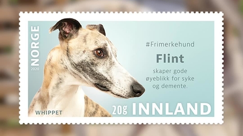 Thumbnail for entry #Frimerkehund: Flint