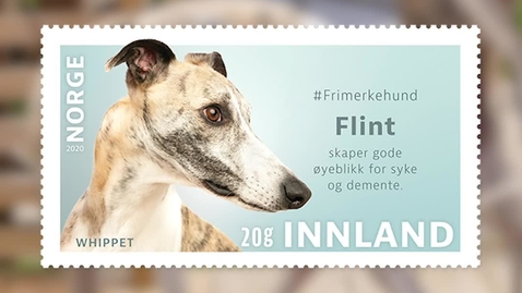 Thumbnail for #Frimerkehund: Flint
