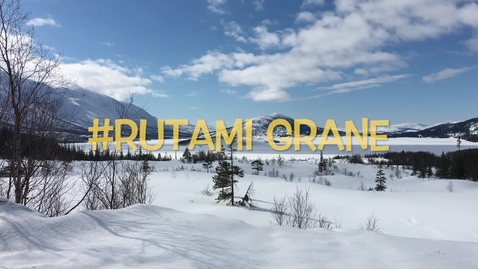 Thumbnail for entry #Rutami: Grane