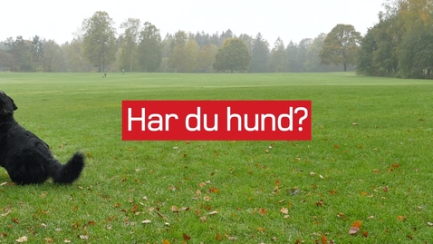 Thumbnail for #frimerkehund