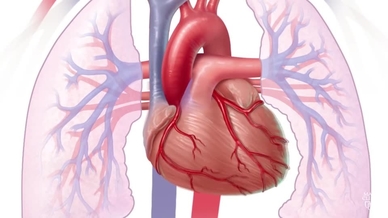 تسرع القلب الأعراض والأسباب Mayo Clinic مايو كلينك