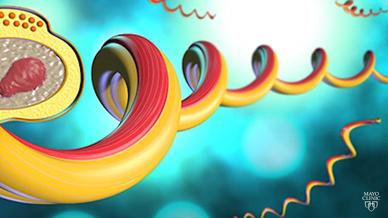 Syphilis Symptoms And Causes Mayo Clinic