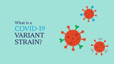 Que Significa Una Variante De Un Virus