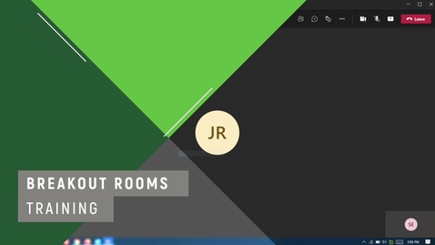 Thumbnail for Breakout Rooms student training