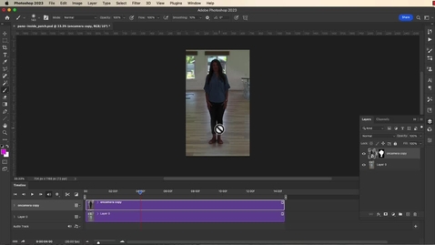 Thumbnail for 3261-15f-Photoshop Adjustment Layers