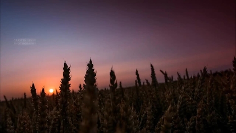 Thumbnail for Pros and Cons of Biofuels