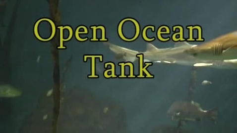 Thumbnail for entry Open Ocean Tank Observation (Module 4)