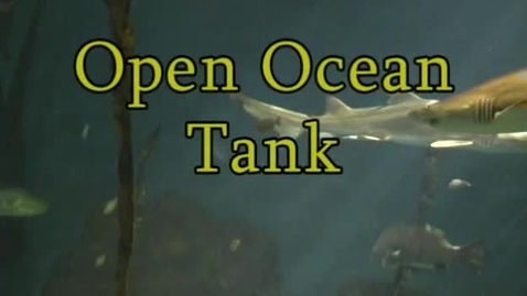 Thumbnail for Open Ocean Tank Observation (Module 4)