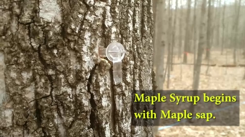 Thumbnail for entry How to make maple syrup