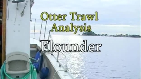 Thumbnail for Flounder (Module 3)
