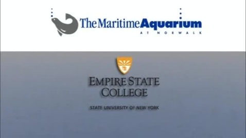 Thumbnail for Introduction to the Aquarium (Module 1)