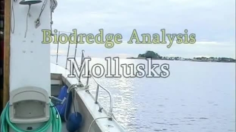 Thumbnail for Mollusks (Module 5)