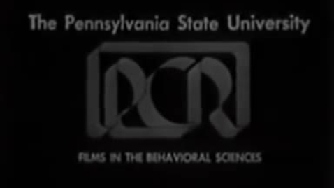 Thumbnail for The Milgram Experiment 1962 Full Documentary