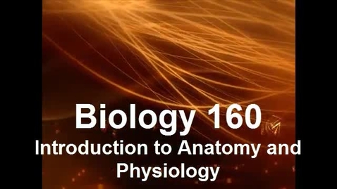 Thumbnail for 7d brain structure and function - EDUC 6010
