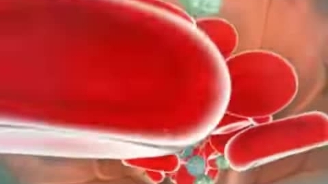 Thumbnail for Immune System - Natural Killer Cell