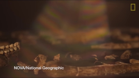 Thumbnail for New Human Ancestor Discovered Homo naledi (EXCLUSIVE VIDEO)   National Geographic