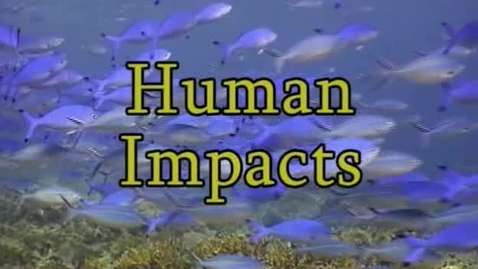 Thumbnail for Human Impacts (Module 7)