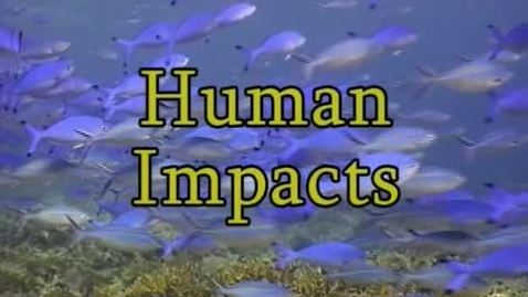 Thumbnail for entry Human Impacts (Module 7)