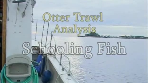 Thumbnail for Schooling Fish (Module 3)