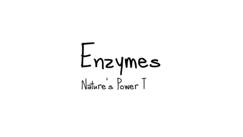Thumbnail for Enzymes- a fun introduction
