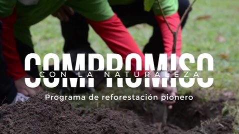 Miniatura para Día internacional de los bosques (ES)