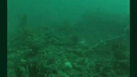 Miniatura para Iberdrola Australia unveils a mystery beneath the waters of Gippsland