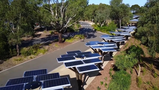 Los increíbles árboles solares del zoo africano de Werribee