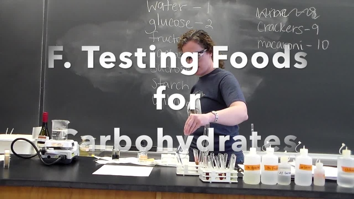 Part F Testing Foods for Carbohydrates